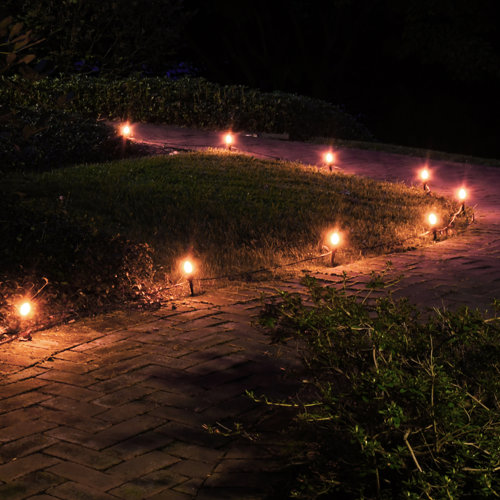 LumaBase Electric Pathway Lights with 10 Bulbs & Reviews Wayfair